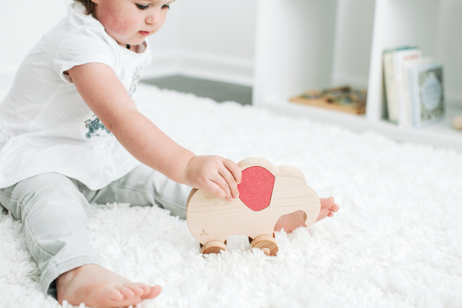 NEW | HeartFELT™ Push Toys