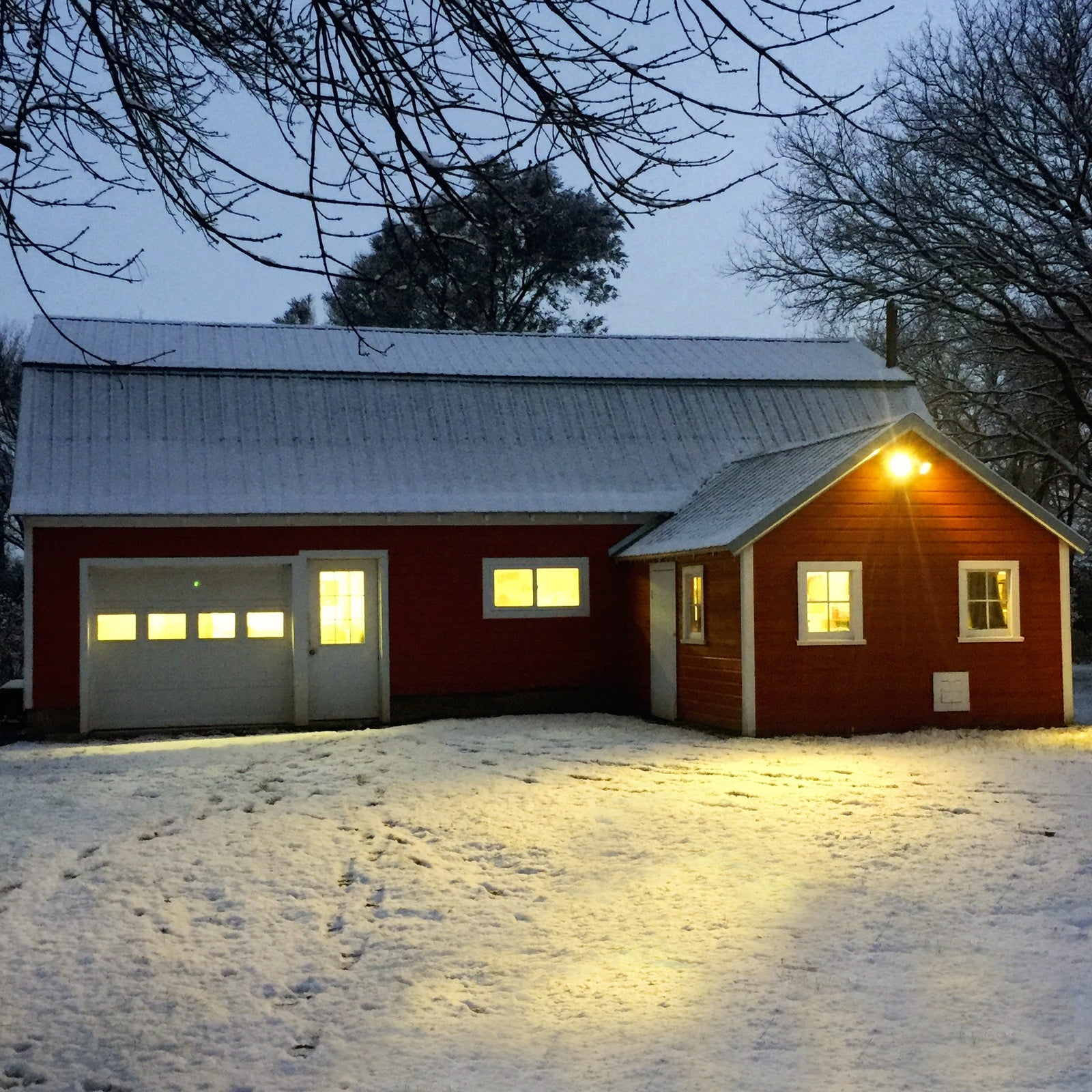 The Heart of Smiling Tree