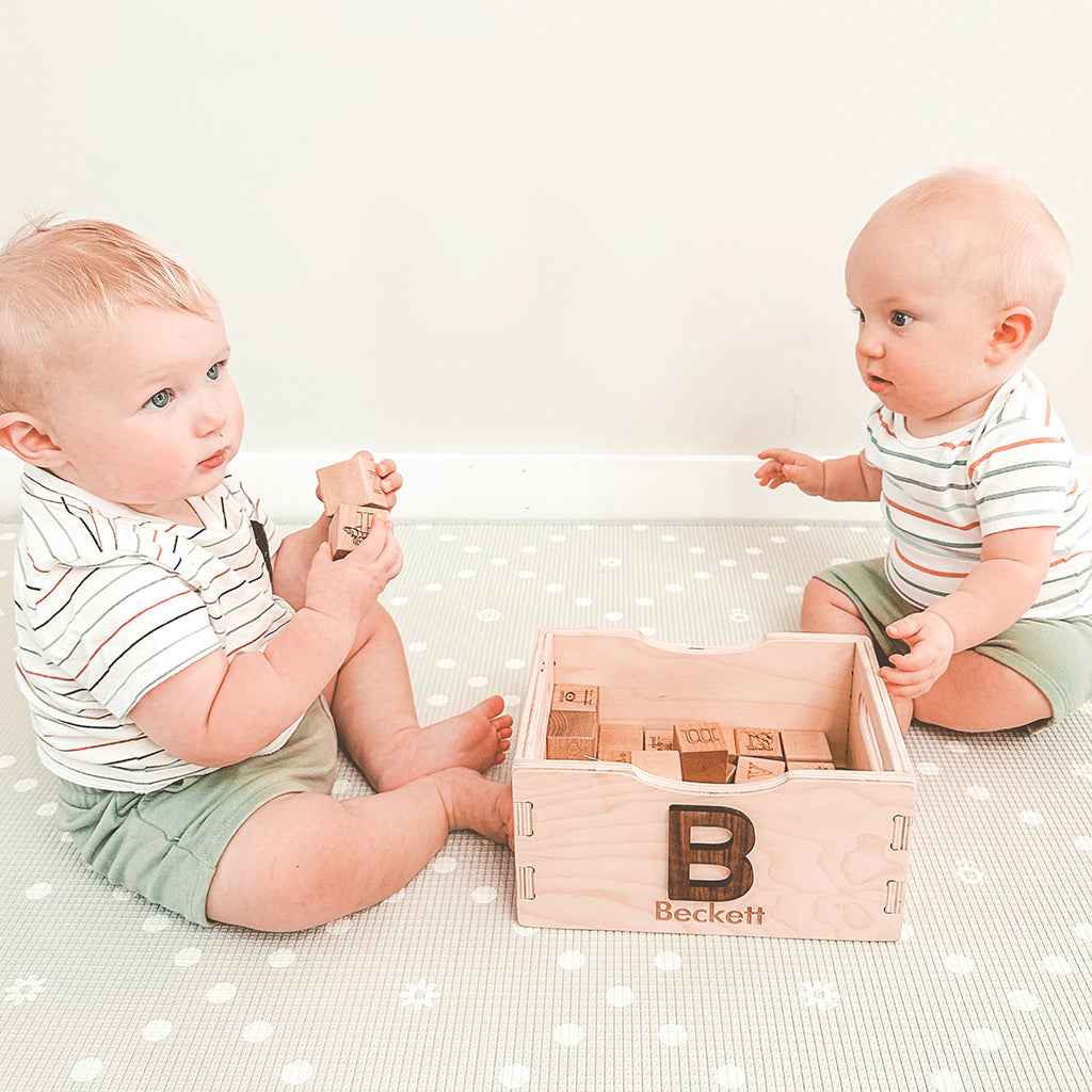 Picture Alphabet Blocks and Crate Gift Set