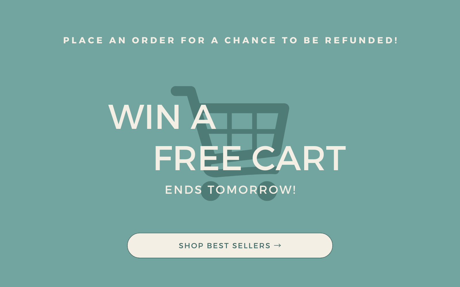 Place an order at Smiling Tree Toys for a chance to be refunded
