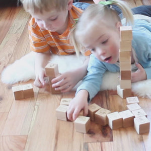 animal alphabet blocks wooden alphabet blocks new baby gift