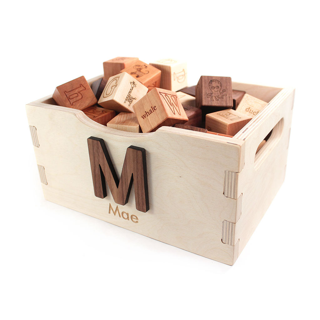 picture alphabet blocks and crate gift set